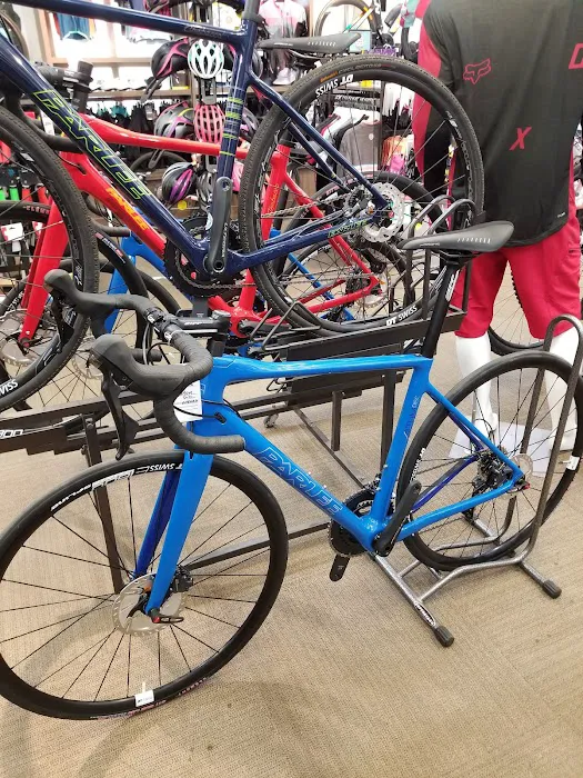 Moment Bicycles Picture 6