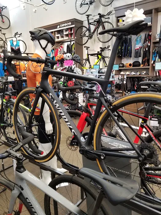 Moment Bicycles Picture 9