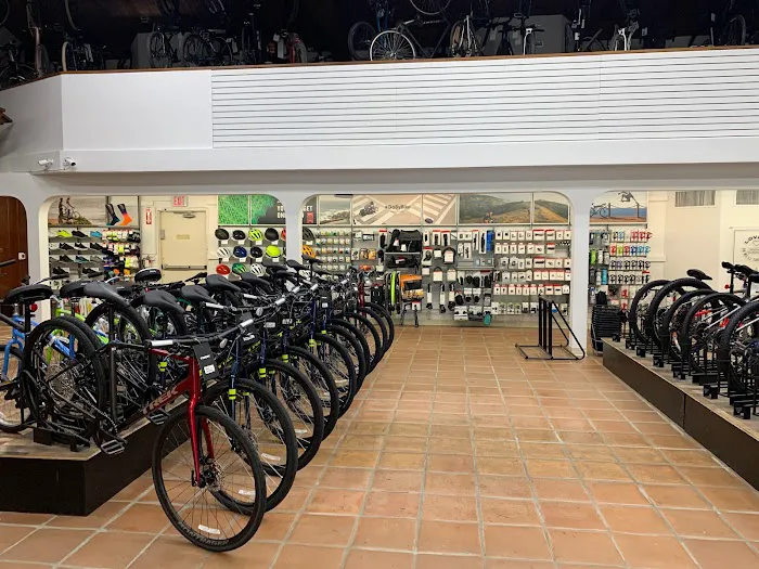 Trek Bicycle South Bay Picture 2