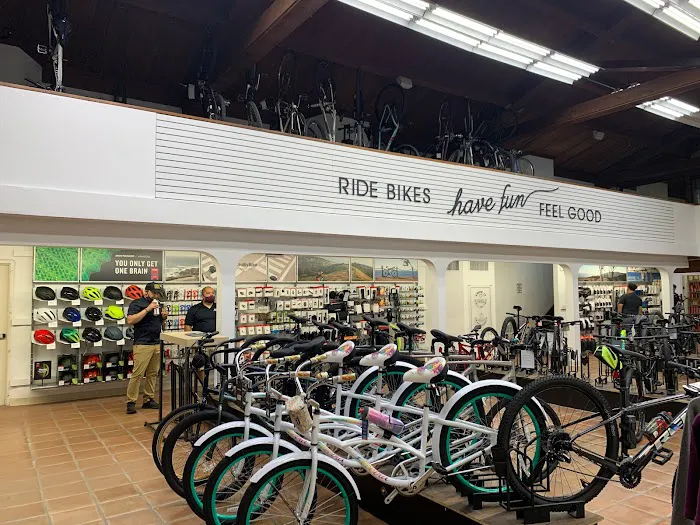 Trek Bicycle South Bay Picture 8