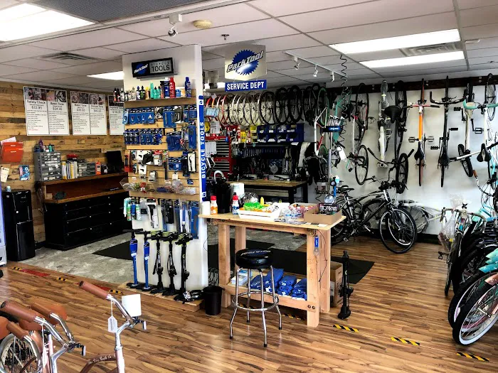 San Diego Cyclery Picture 6