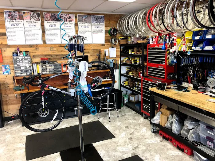 San Diego Cyclery Picture 9