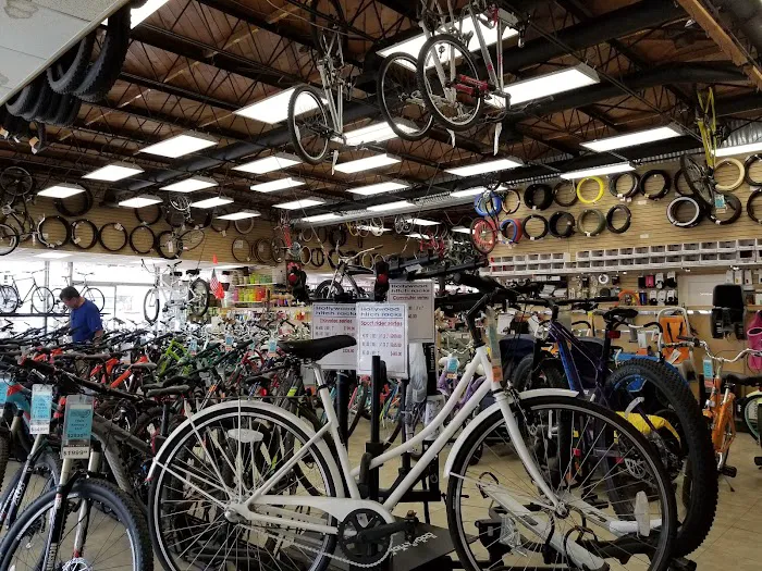 Bicycle Discovery Pacific Beach Picture 6