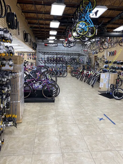 Bicycle Discovery Pacific Beach Picture 8