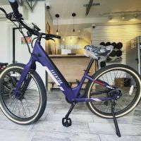 E Rydes ico