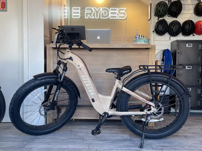 E Rydes Picture 3
