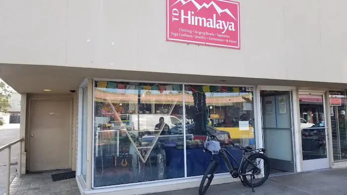 Top Jolt Cycle - Ebike, Golf Cart & Bicycle Rental & Repair Picture 9
