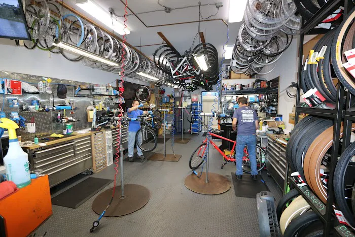 Holland's Bicycles Picture 1