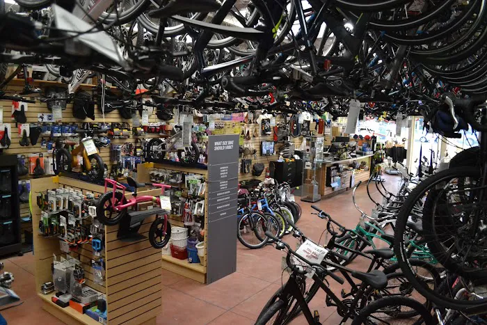 Holland's Bicycles Picture 8
