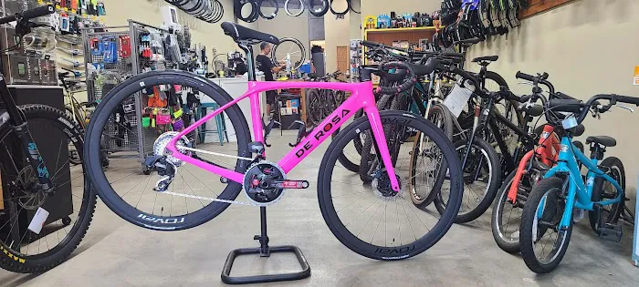 Peninsula Bikes Picture 6