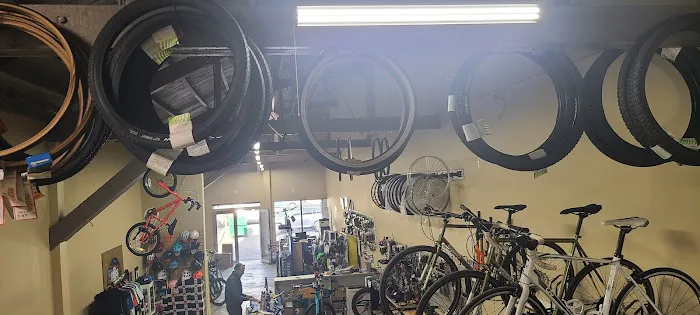 Peninsula Bikes Picture 7