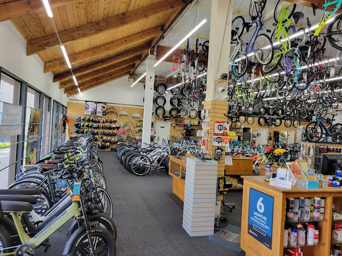 GC Bikes Picture 4