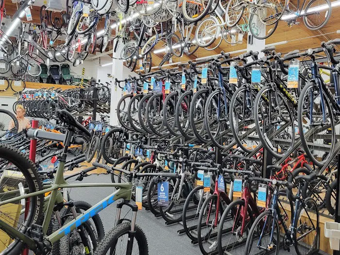 GC Bikes Picture 5