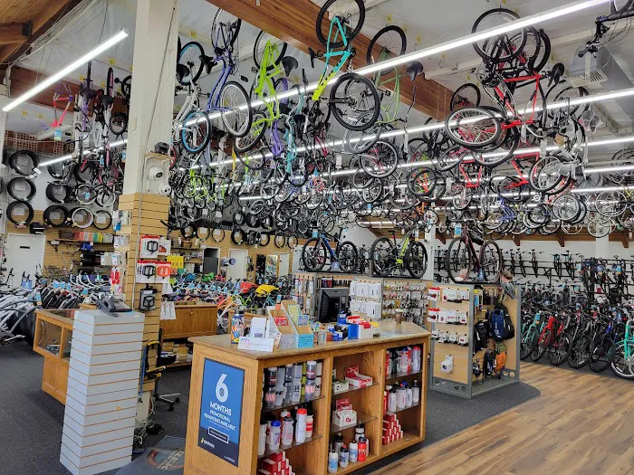 GC Bikes Picture 7
