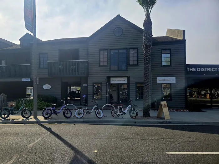 Doheny Electric Bike Picture 1