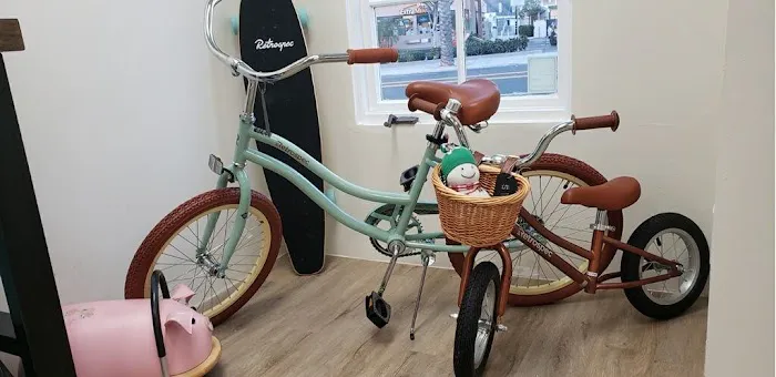 Doheny Electric Bike Picture 3