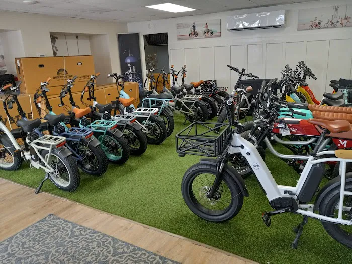 Doheny Electric Bike Picture 8