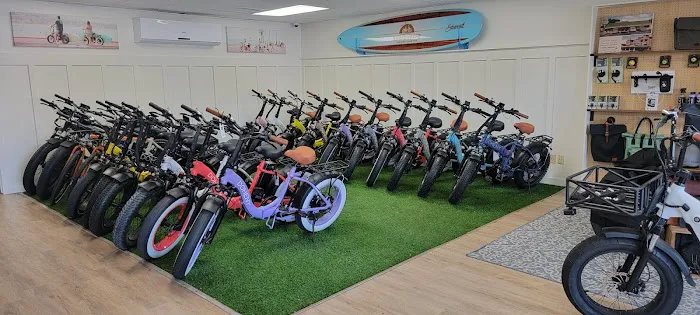 Doheny Electric Bike Picture 9