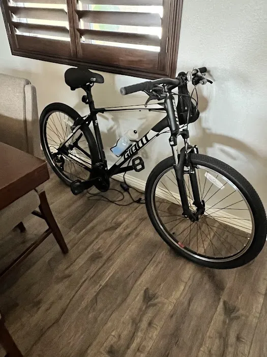 Beaumont Bicycle Shop Picture 7