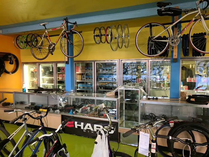 Beaumont Bicycle Shop Picture 10