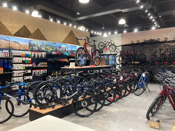 Trek Bicycle Santa Clarita Picture 2