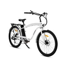 Swell Electric Bikes Warehouse ico