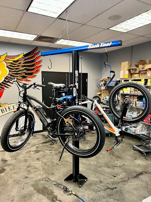 Epic Power Bikes Picture 9