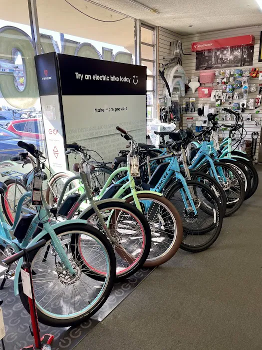 Jax Bicycle Center Picture 4