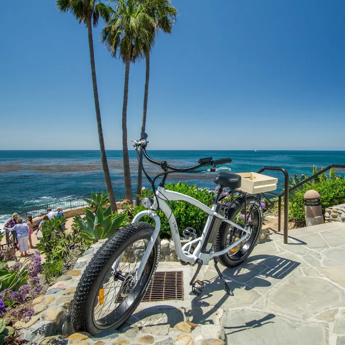 Murf Electric Bikes Picture 7