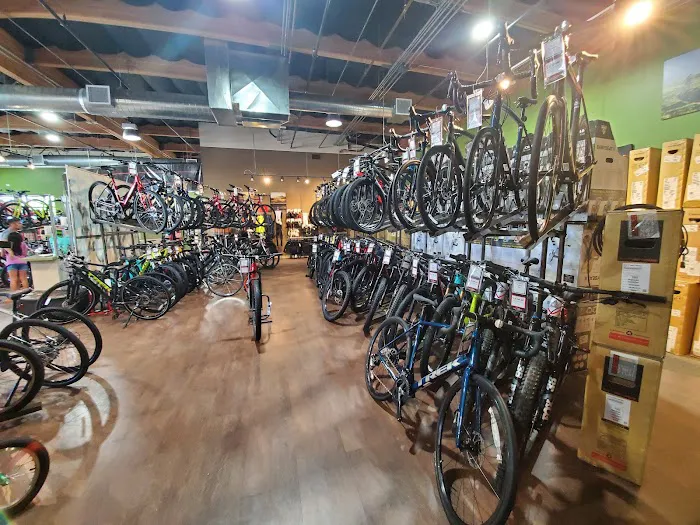 Jax Bicycle Center Picture 2