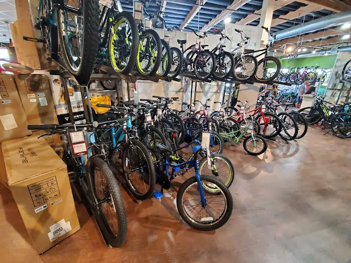 Jax Bicycle Center Picture 5