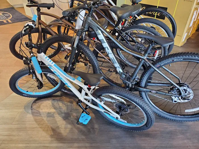 Jax Bicycle Center Picture 6