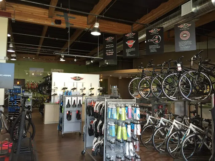 Jax Bicycle Center Picture 10