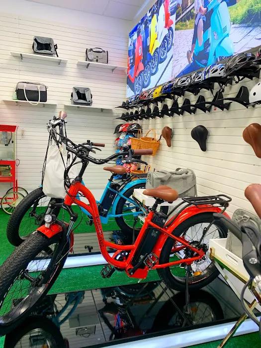 Rebel Bikes Electric Picture 3