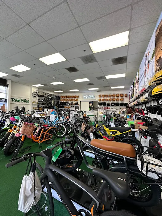 Rebel Bikes Electric Picture 2