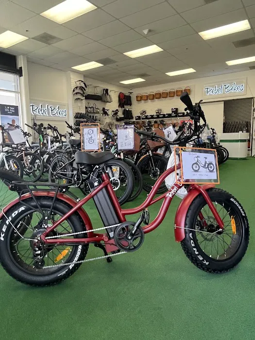 Rebel Bikes Electric Picture 5