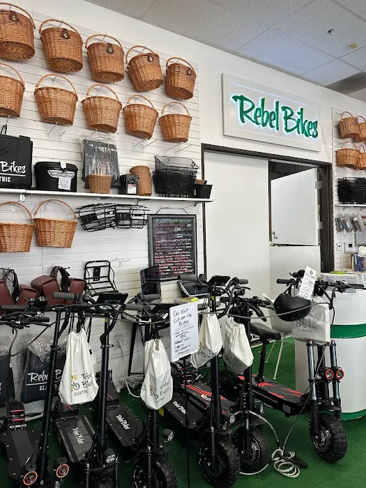 Rebel Bikes Electric Picture 6