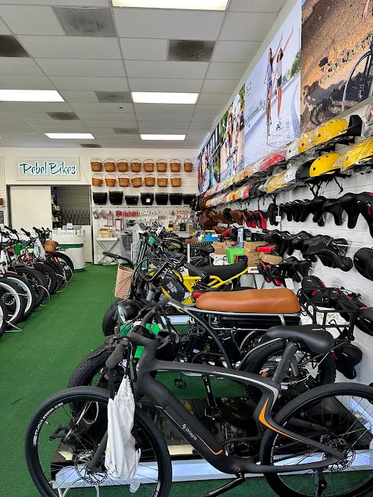 Rebel Bikes Electric Picture 9