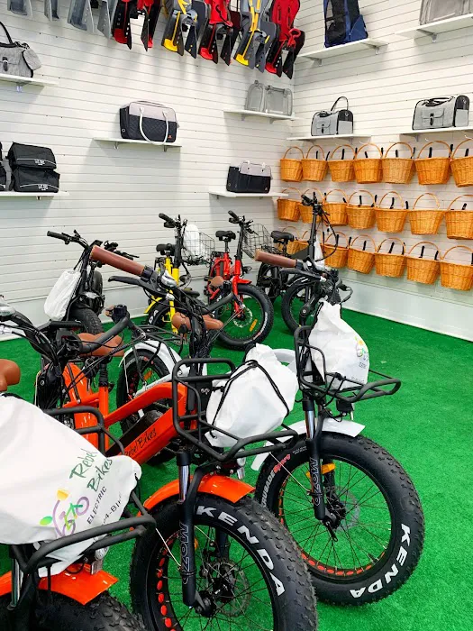 Rebel Bikes Electric Picture 10