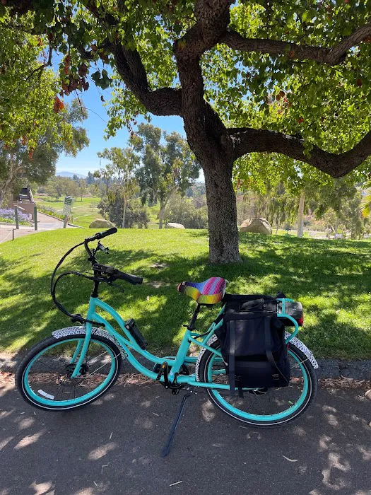 Pedego Electric Bikes Temecula Picture 8