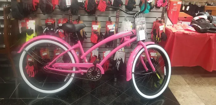 The Bike Shop Picture 2