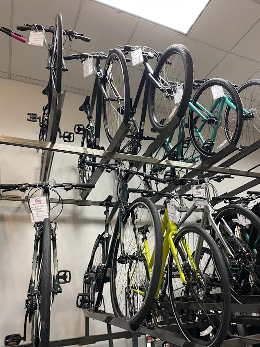 The Bike Shop Picture 6