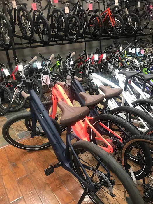 The Bike Shop Picture 8