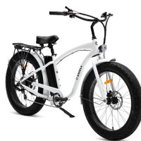 Swell Electric Bikes ico