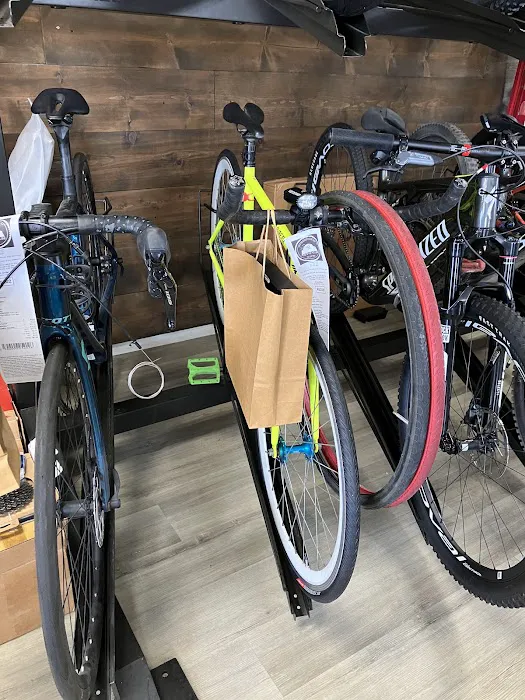 The Bike House Picture 3