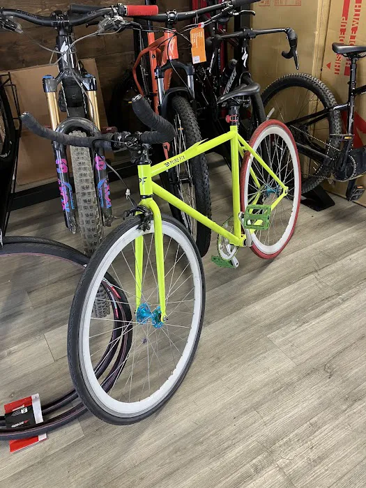 The Bike House Picture 5