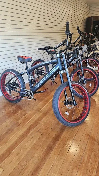 E-Bike-A-Go-Go Picture 1