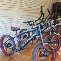 E-Bike-A-Go-Go ico