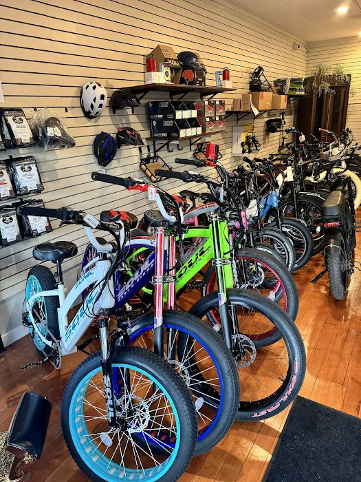 E-Bike-A-Go-Go Picture 5