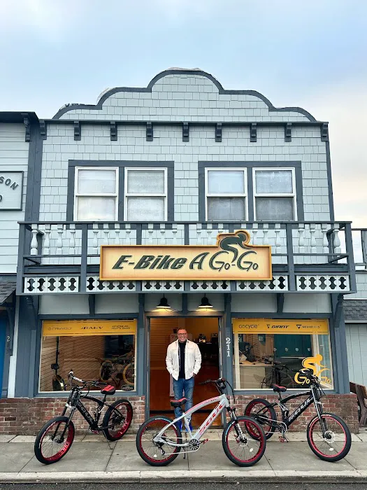 E-Bike-A-Go-Go Picture 3